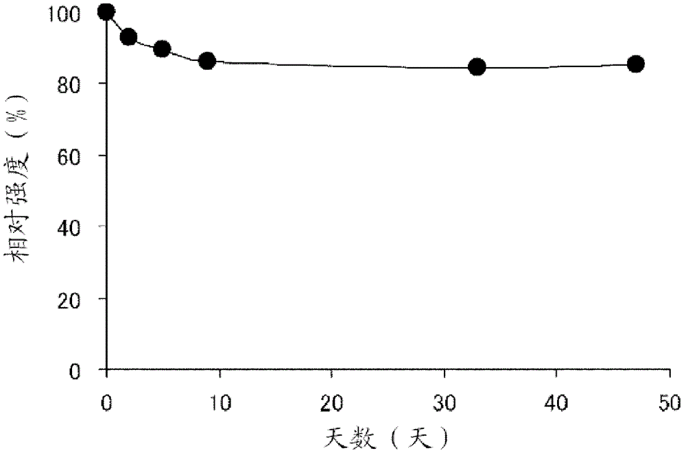 Iodine- and amylase-containing fibers, process for production thereof, and use thereof