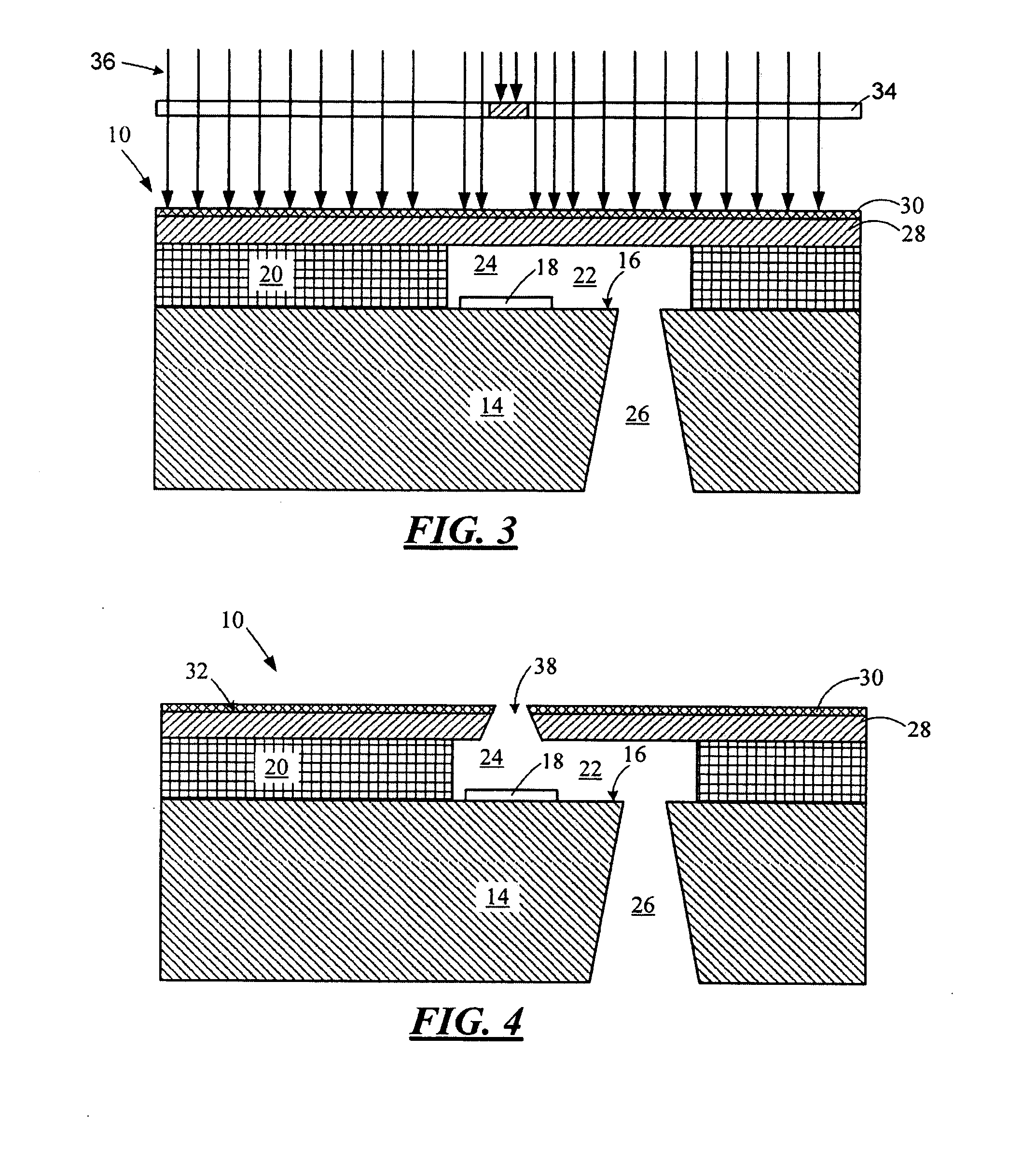 Hydrophobic nozzle plate structures for micro-fluid ejection heads