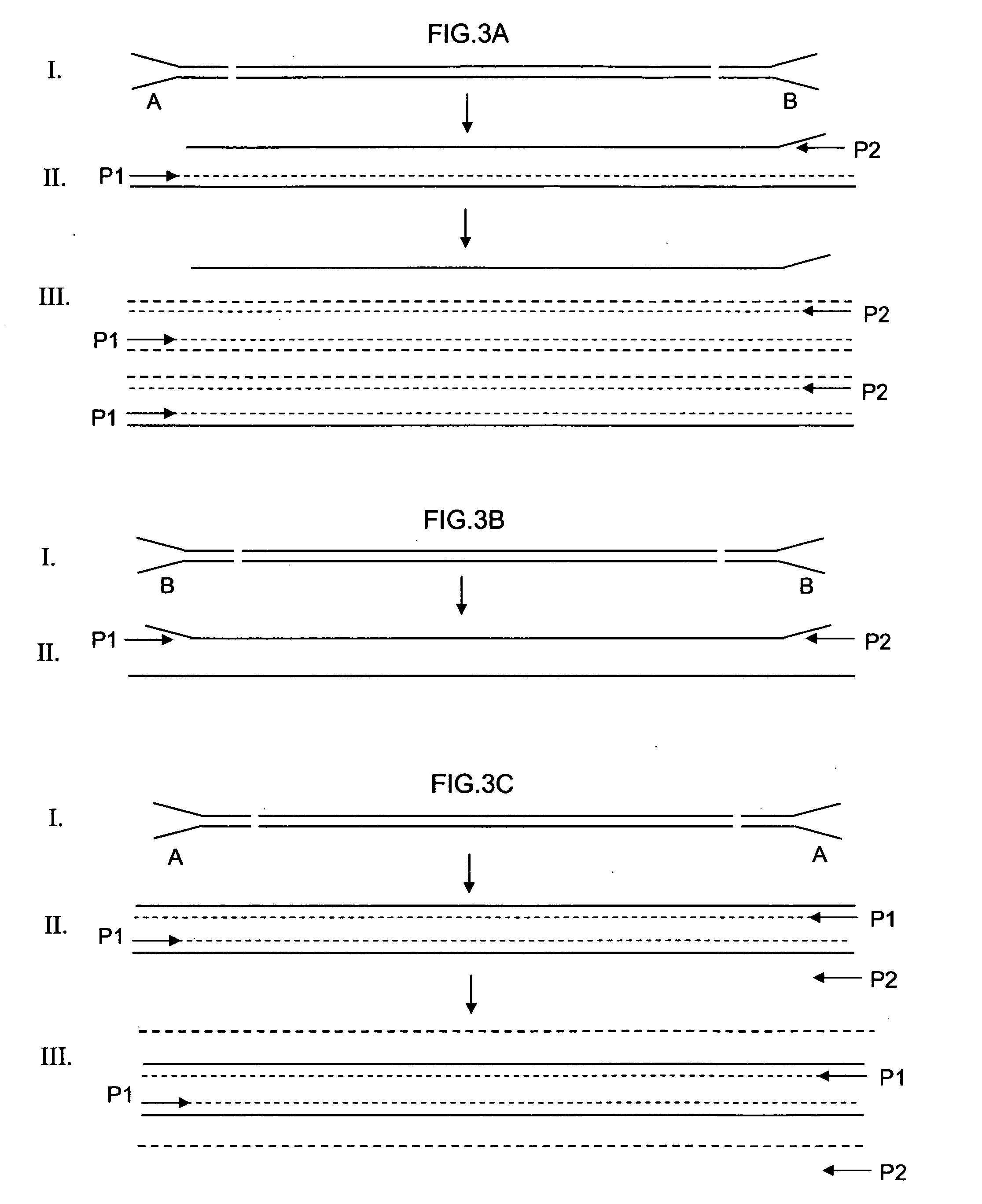 Asymmetrical adapters and methods of use thereof