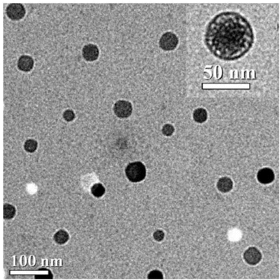 Glucan-containing pharmaceutical composition and preparation method thereof