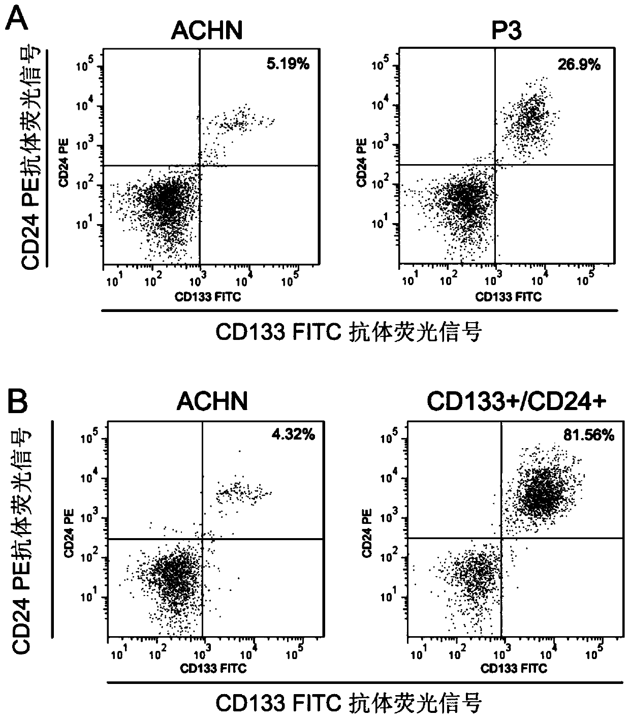 Enrichment and Screening Methods of Cancer Stem Cells