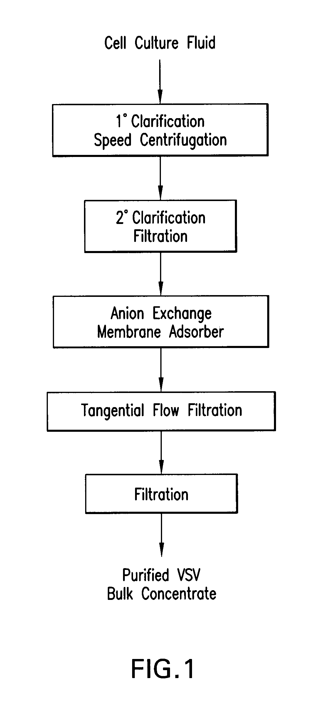 Purification processes for isolating purified vesicular stomatitis virus from cell culture