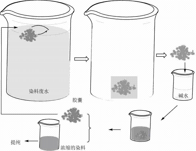 Silica supported polyamine water treatment agent, application thereof and preparation method