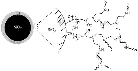 Silica supported polyamine water treatment agent, application thereof and preparation method