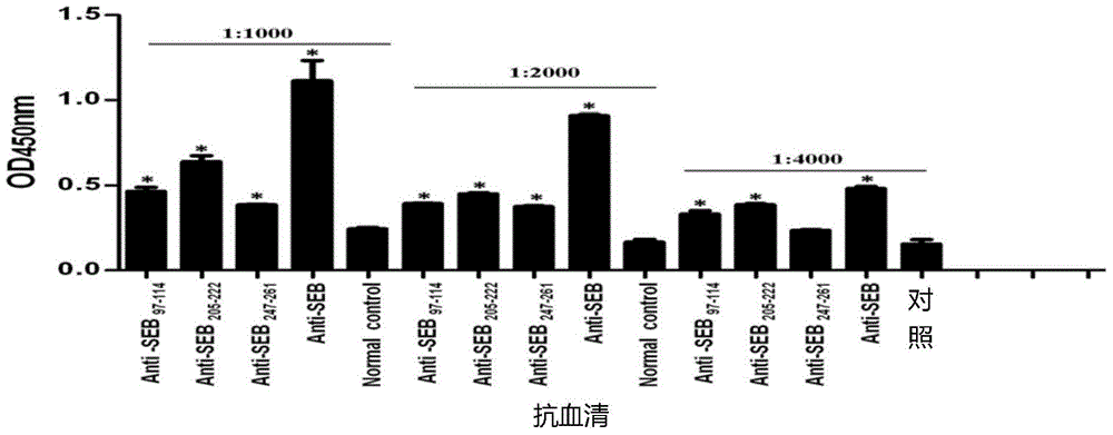 B cell immunodominance epitope peptide of staphylococcus aureus enterotoxin B and preparation method and application thereof