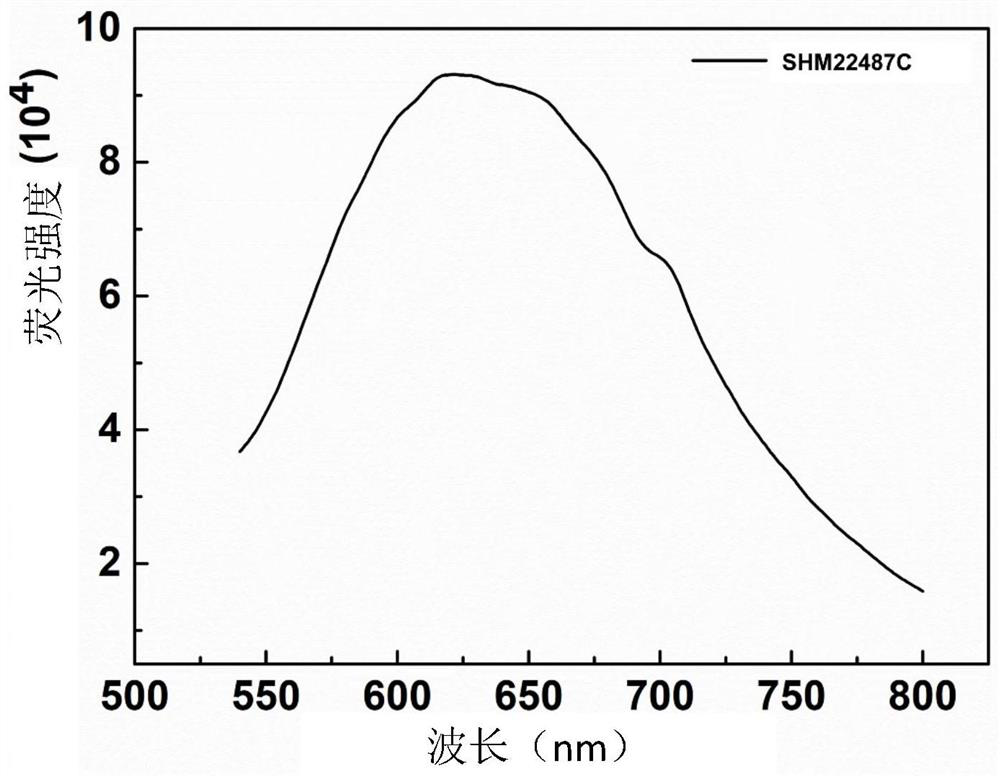 Active photosensitizer and preparation method and application thereof