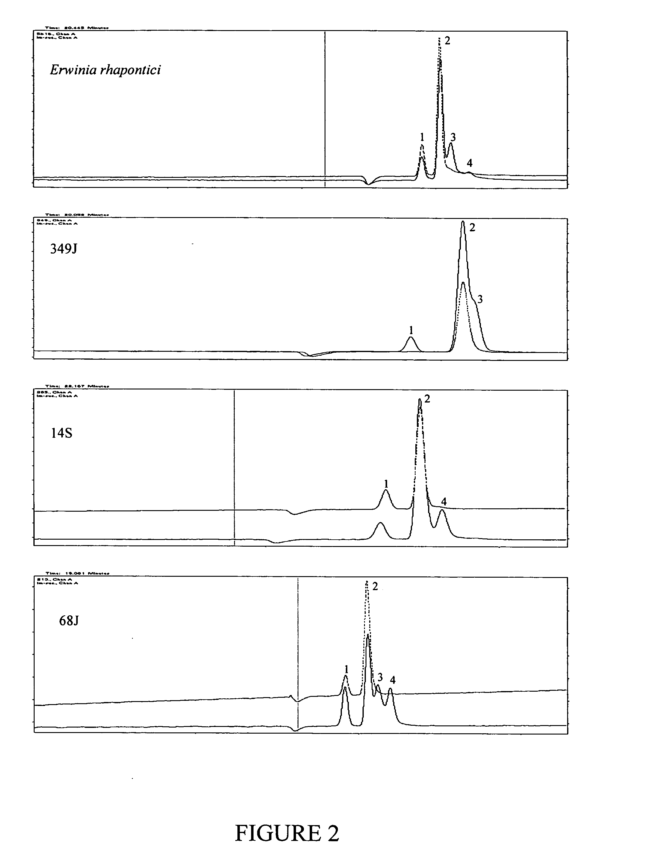 Isomaltulose synthases, polynucleotides encoding them and uses therefor