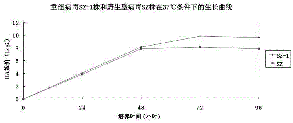 Anti-Newcastle disease, infectious bronchitis and bird flu vaccine composition and preparation