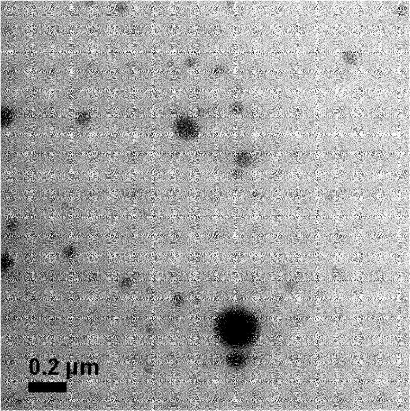 Nanoparticle liposome for releasing different medicines in programmed manner and preparation and use thereof