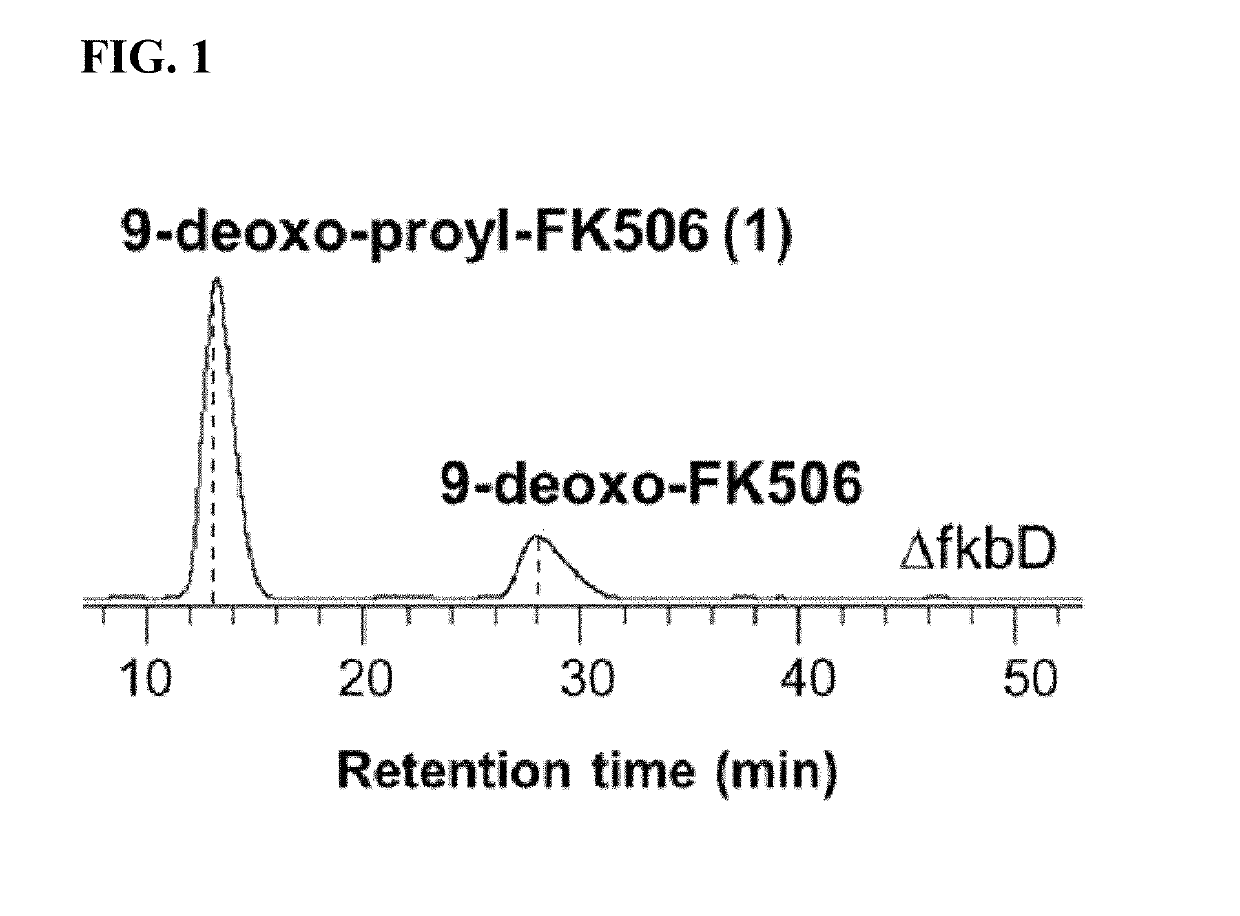 Fk506 derivative maintaining nerve regeneration activity without immunosuppressive activity, and use thereof