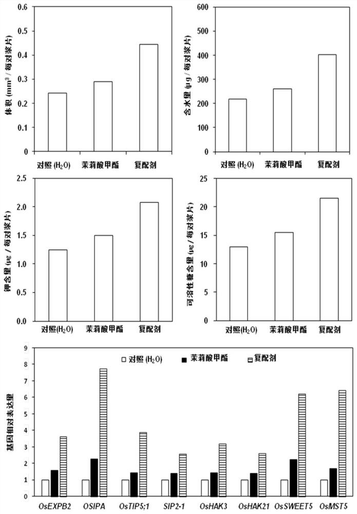 Compound agent for promoting blooming of male and female parent glumous flowers of hybrid rice