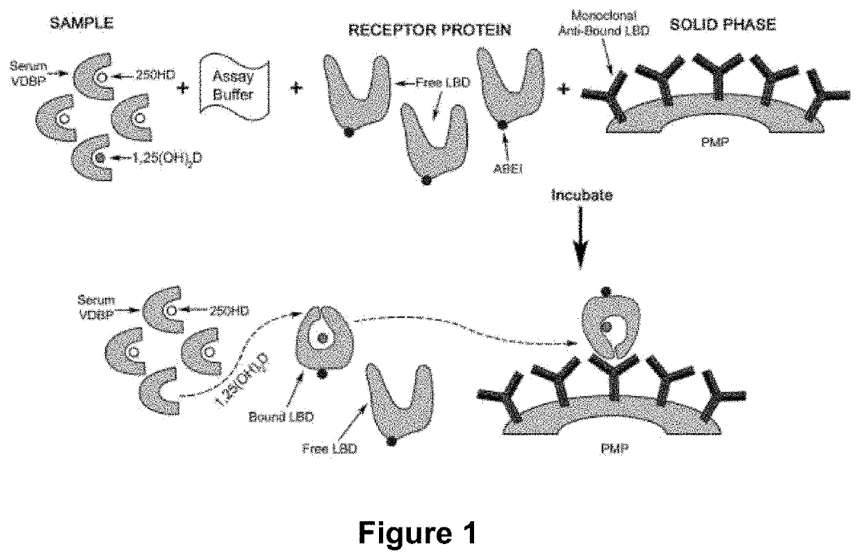 Use of 1,25-Dihydroxyvitamin D Values in Ratio with PTH as a Prognostic Biomarker