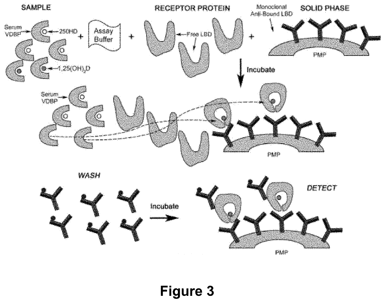 Use of 1,25-Dihydroxyvitamin D Values in Ratio with PTH as a Prognostic Biomarker