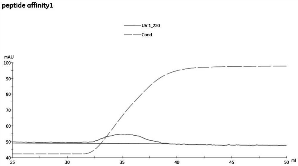 Active takifugu flavidus fish skin polypeptide as well as preparation method and application thereof