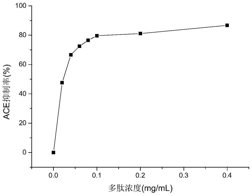 Active takifugu flavidus fish skin polypeptide as well as preparation method and application thereof