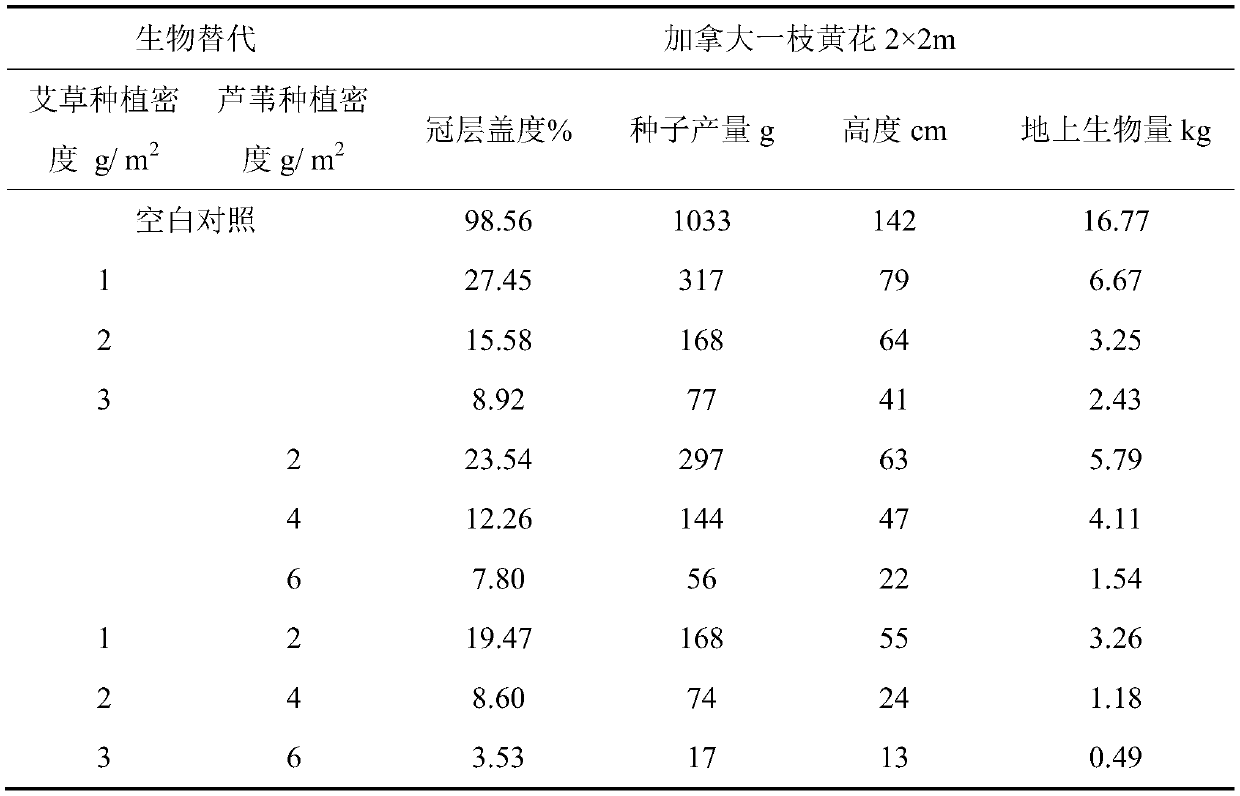 Biological replacement method for controlling malignant invasion weed solidago canadensis L.