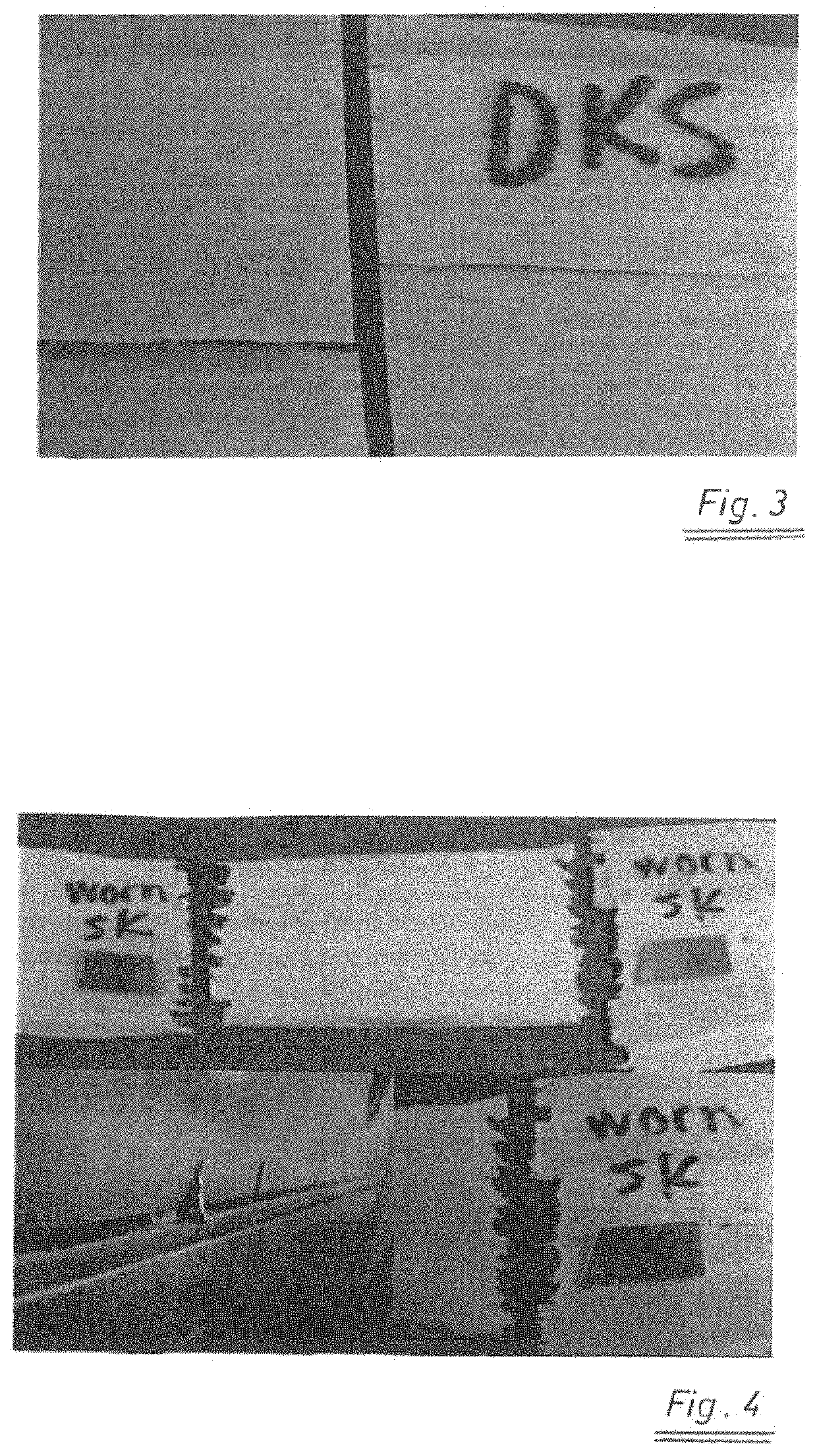 Method for producing cutting blades