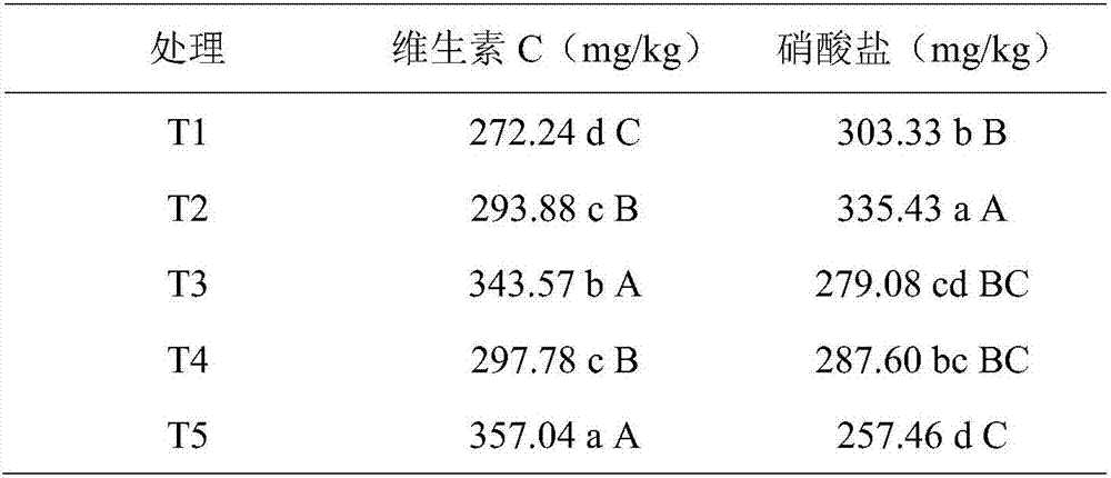 Fermented carbon-based bio-organic fertilizer and preparation method thereof