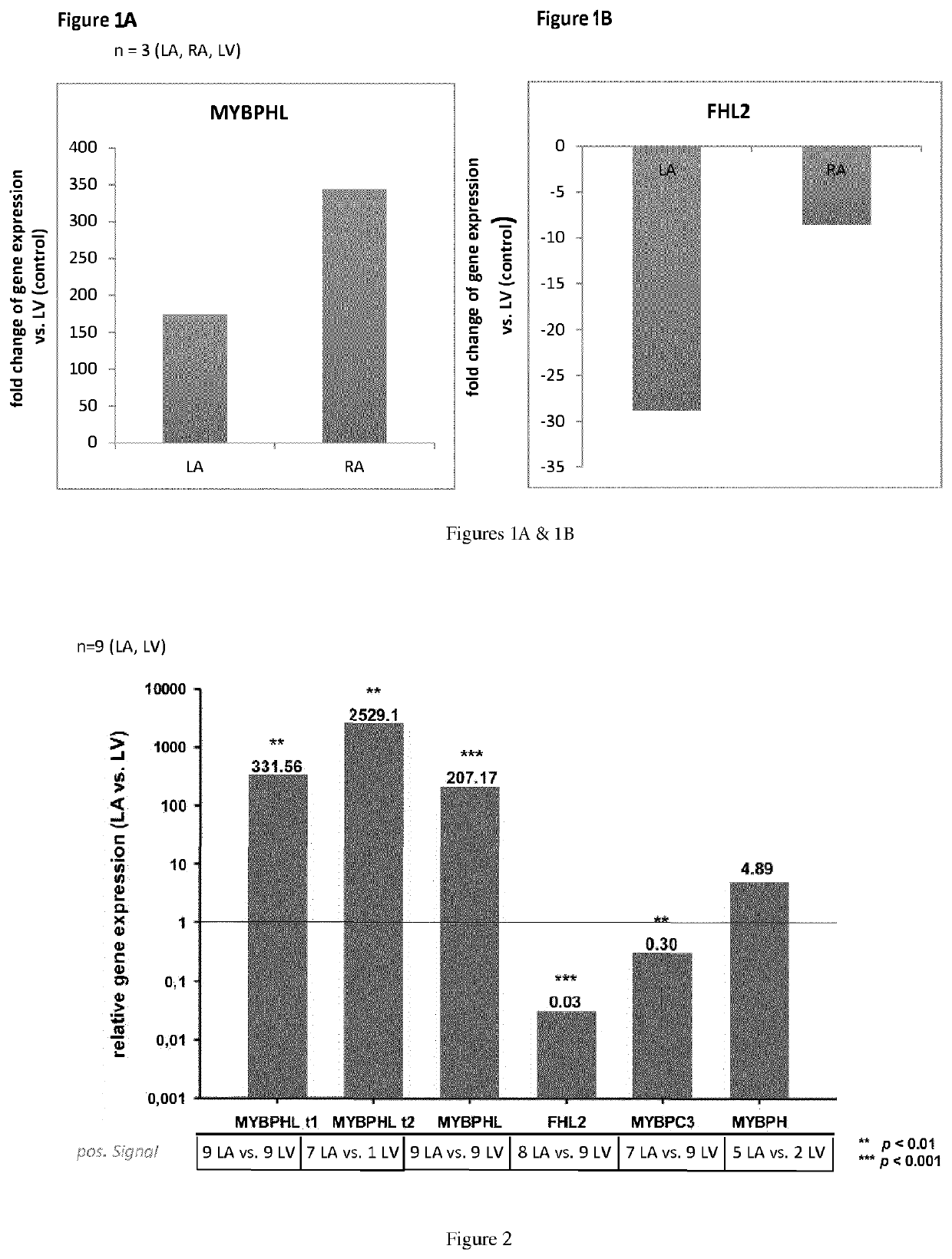 Method of diagnosing heart muscle damage