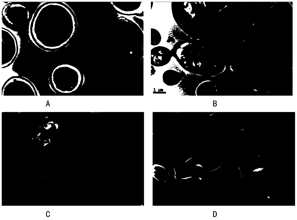 Traditional Chinese medicine composition for resisting pathogenic microorganisms and its preparation method and application