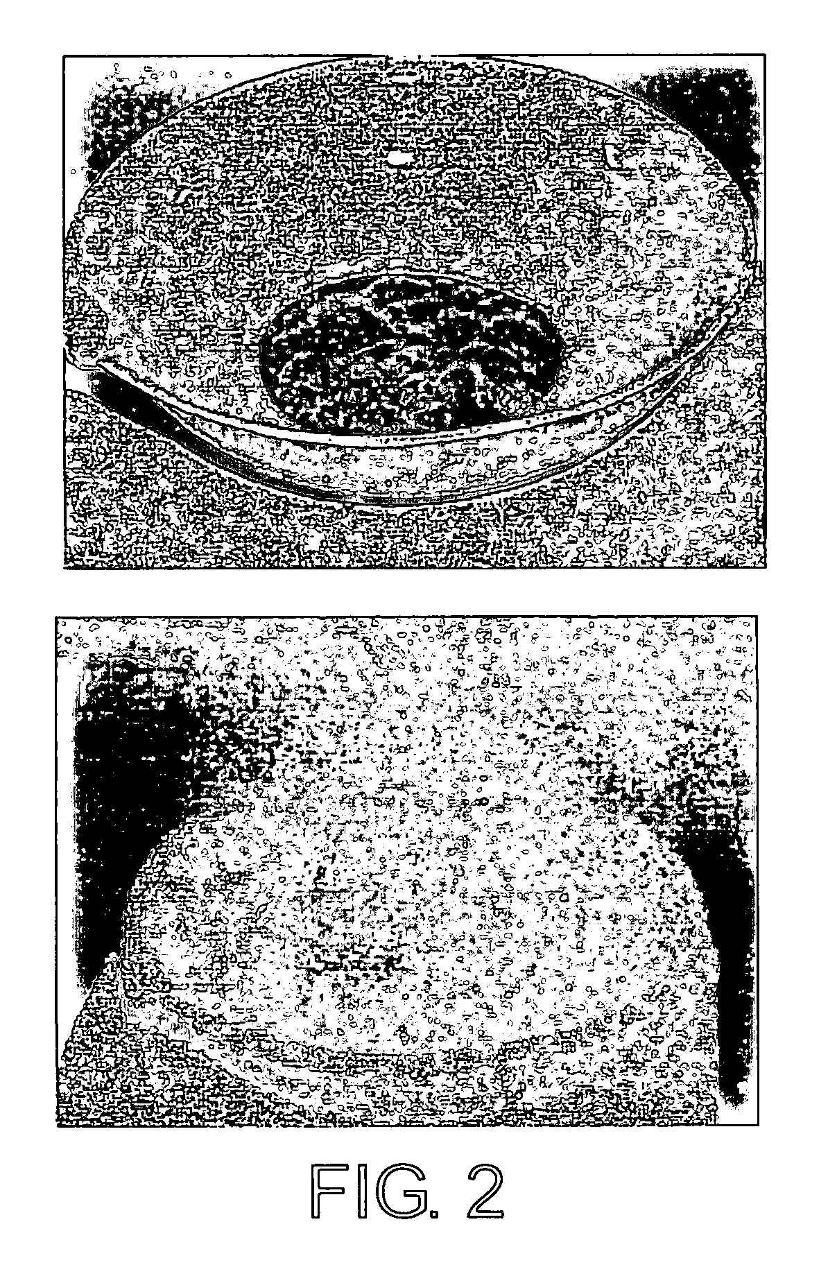 Method of synthesizing small-diameter carbon nanotubes with electron field emission properties