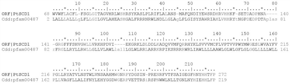 A kind of tiger fish ptscd1 gene and its application