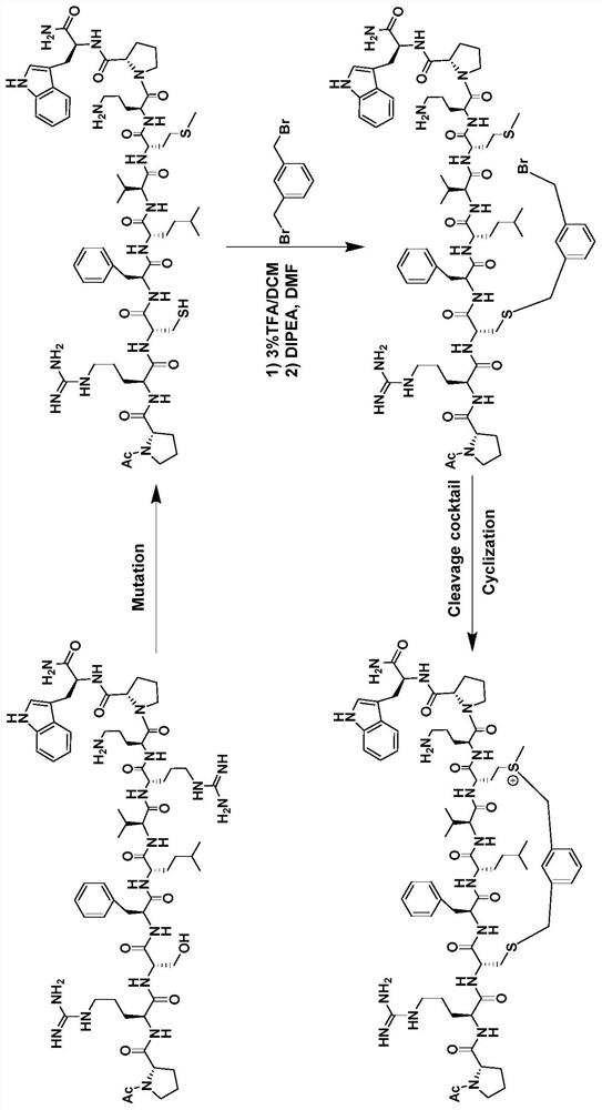 A stable polypeptide inhibitor derived from lsd1 substrate snail1 and its use