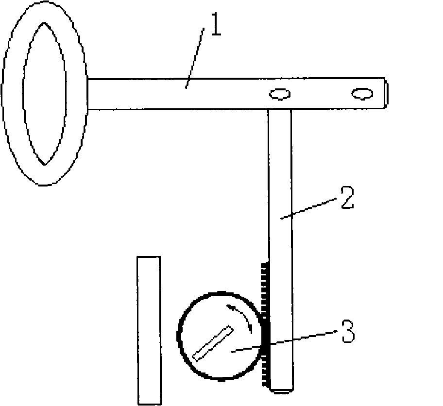 Wireless sensor for freezing state of high tension power line