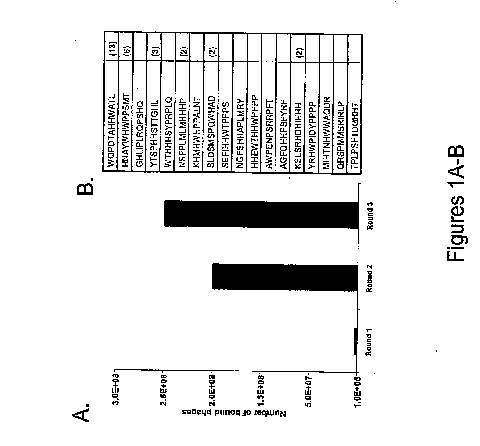Compositions and Methods for The Treatment of Cancer