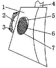 Electric vehicle lighting device based on wind power generation