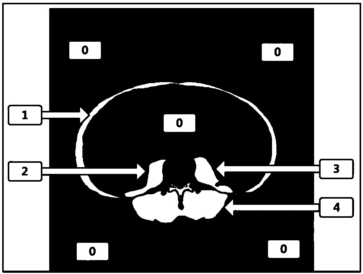 An abdominal muscle labeling method and device based on deep learning