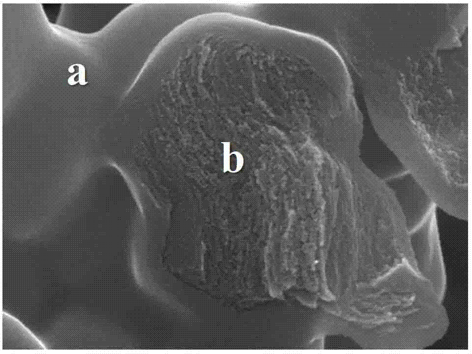 Lithium-sulfur battery cathode material capable of restricting polysulfide dissolution, electrode slice and battery