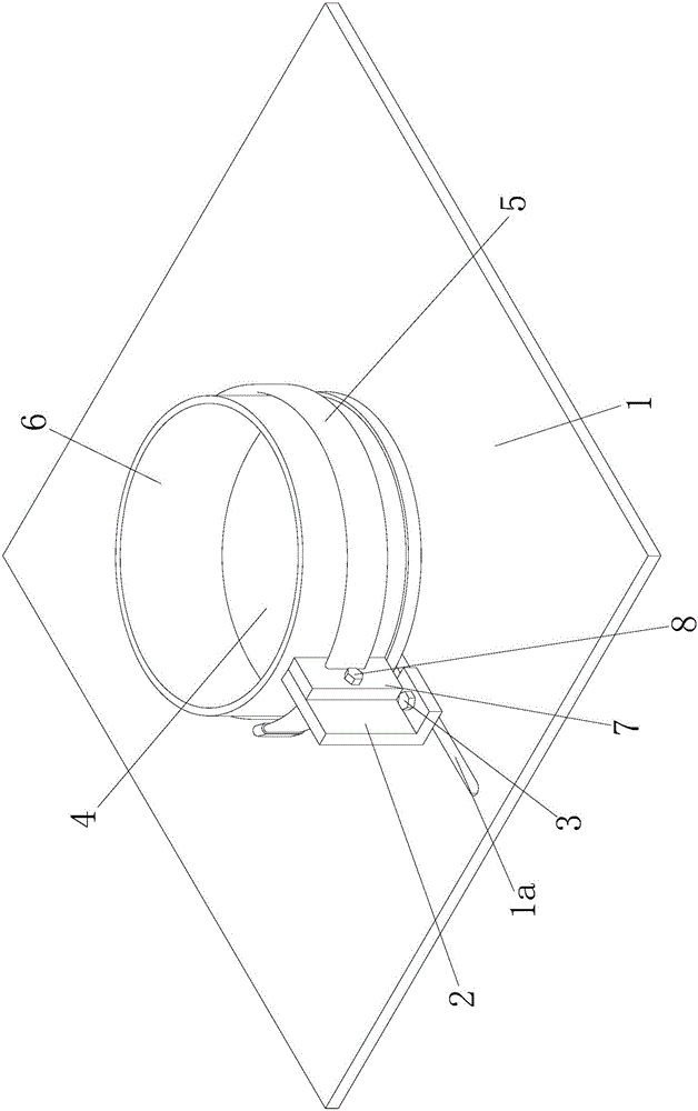 Auxiliary device for picking bristles