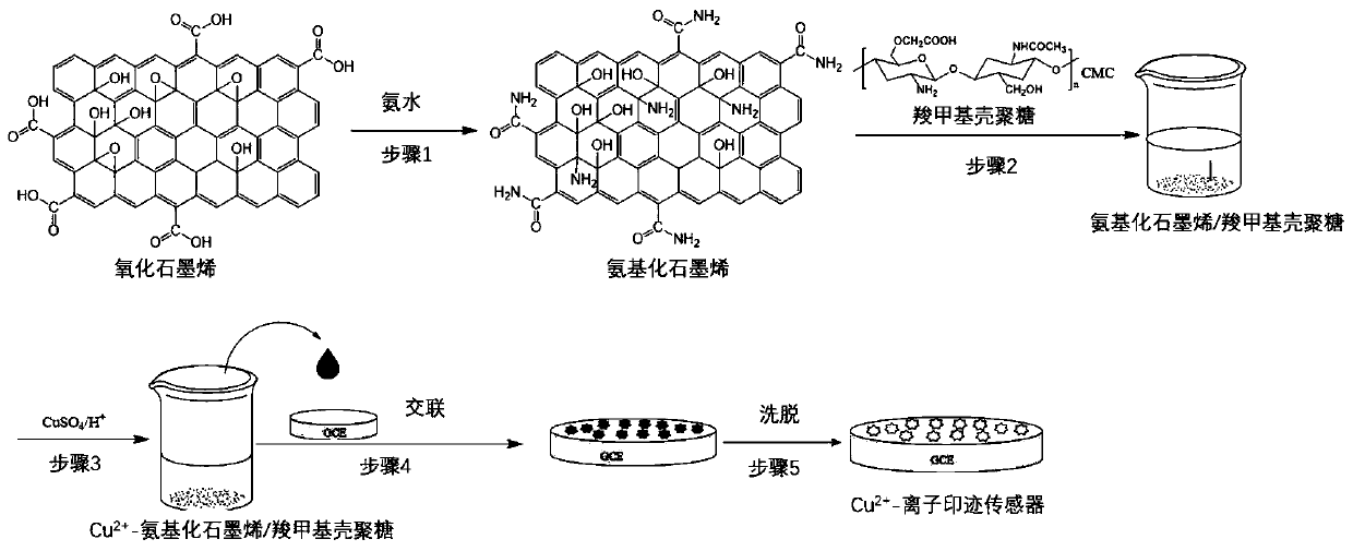 Bio-based ionic imprinting sensor for detecting copper ions and preparation method thereof