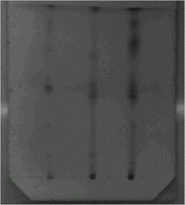 Test method for radix rehmanniae in scourge-clearing toxin-vanquishing powder