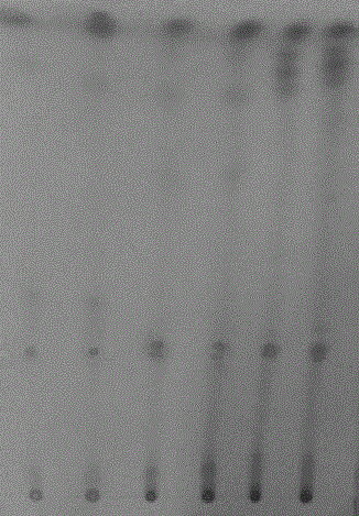 Test method for radix rehmanniae in scourge-clearing toxin-vanquishing powder