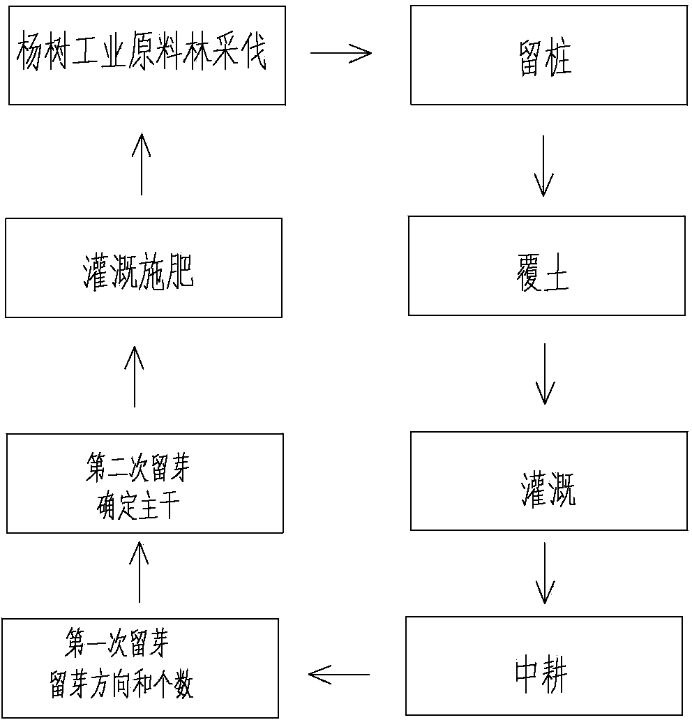 Stump reserving bud afforestation method for cutting poplar industry raw material forest