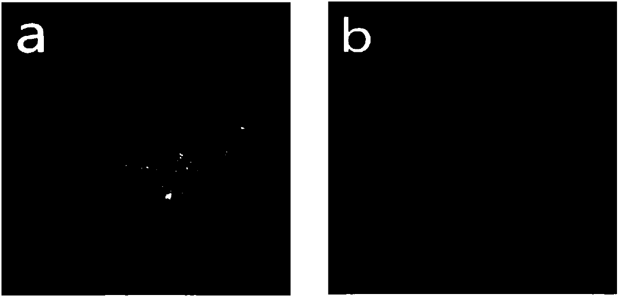 High-speed low-load medium friction coefficient basalt fiber reinforced friction material and preparation method