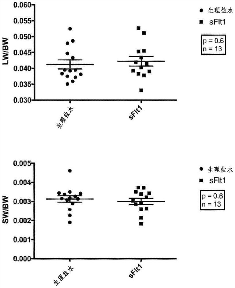 Methods and compositions relating to lung repair