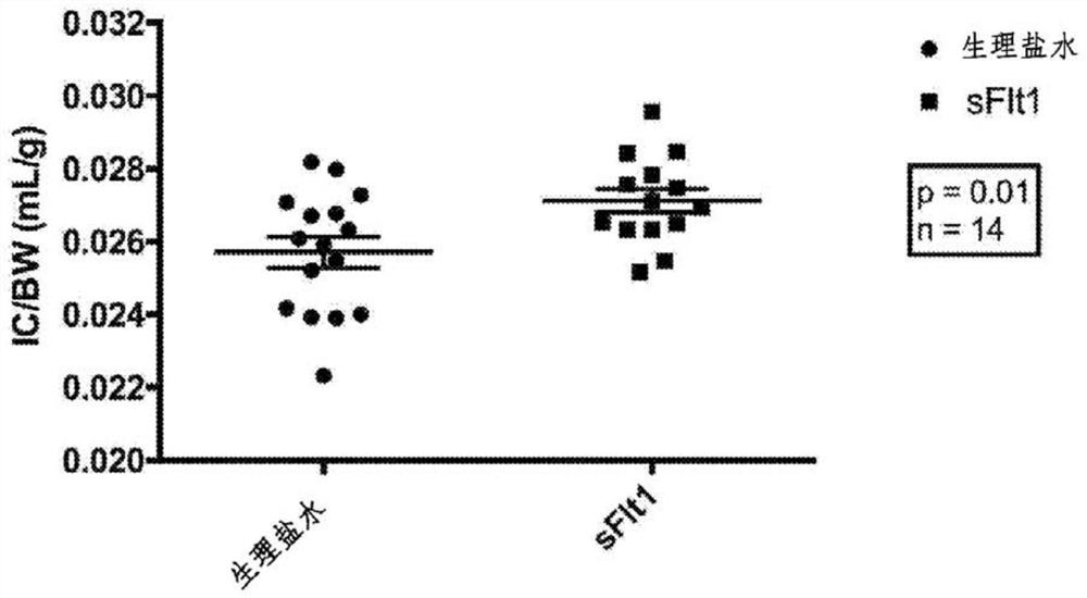 Methods and compositions relating to lung repair