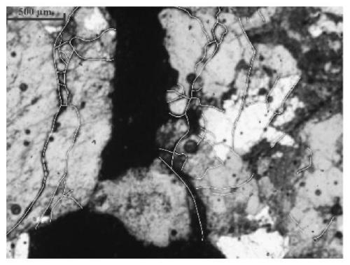 Method for analyzing development degree of inner seam of quartz grain