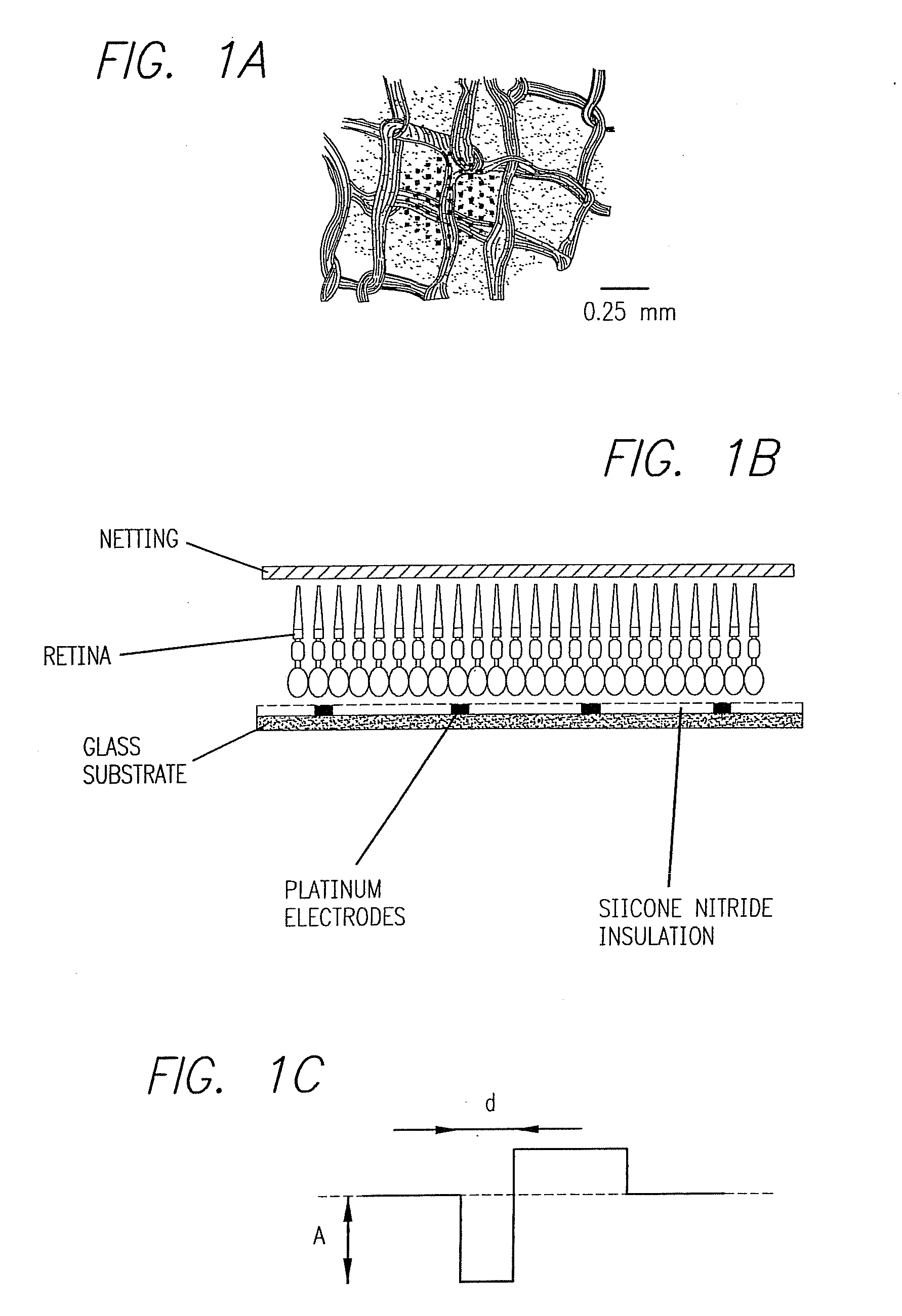 Method and Apparatus for Visual Neural Stimulation