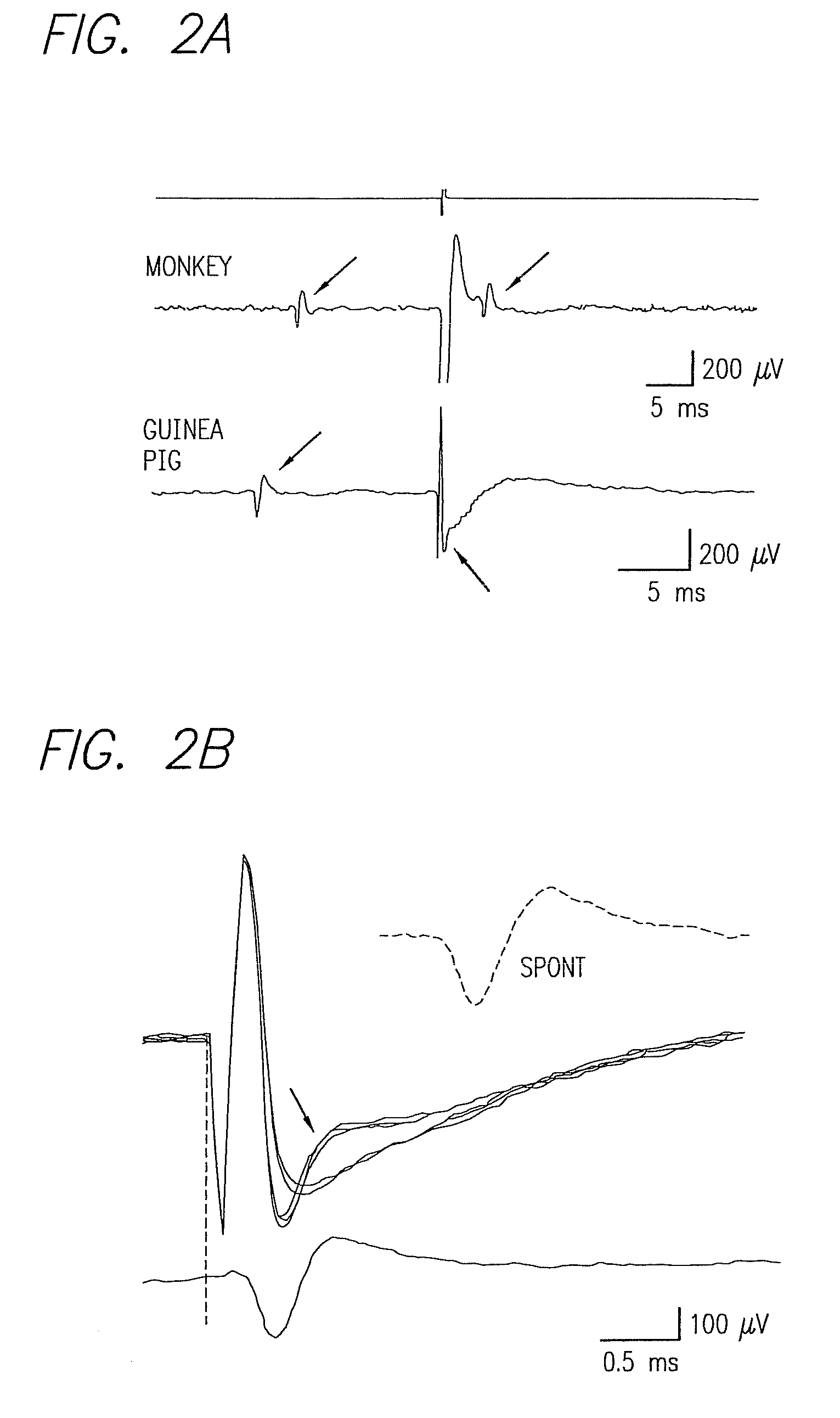 Method and Apparatus for Visual Neural Stimulation
