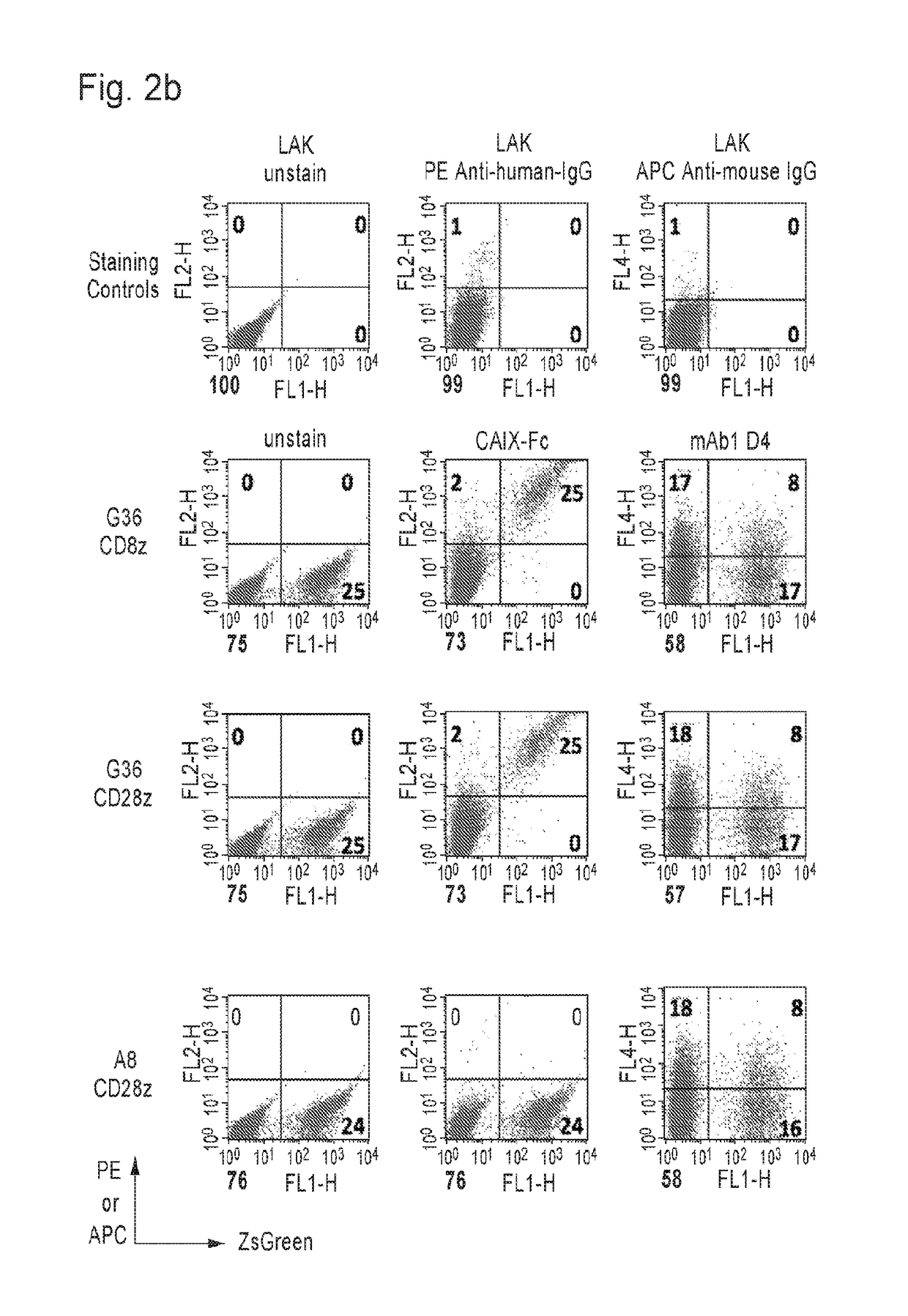 Carbonic anhydrase ix specific chimeric antigen receptors and methods of use thereof