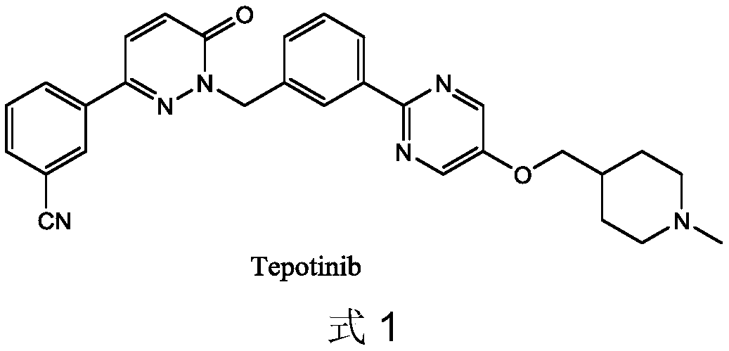 Novel Tepotinib derivative and preparation method thereof and application of derivative in antitumor drug