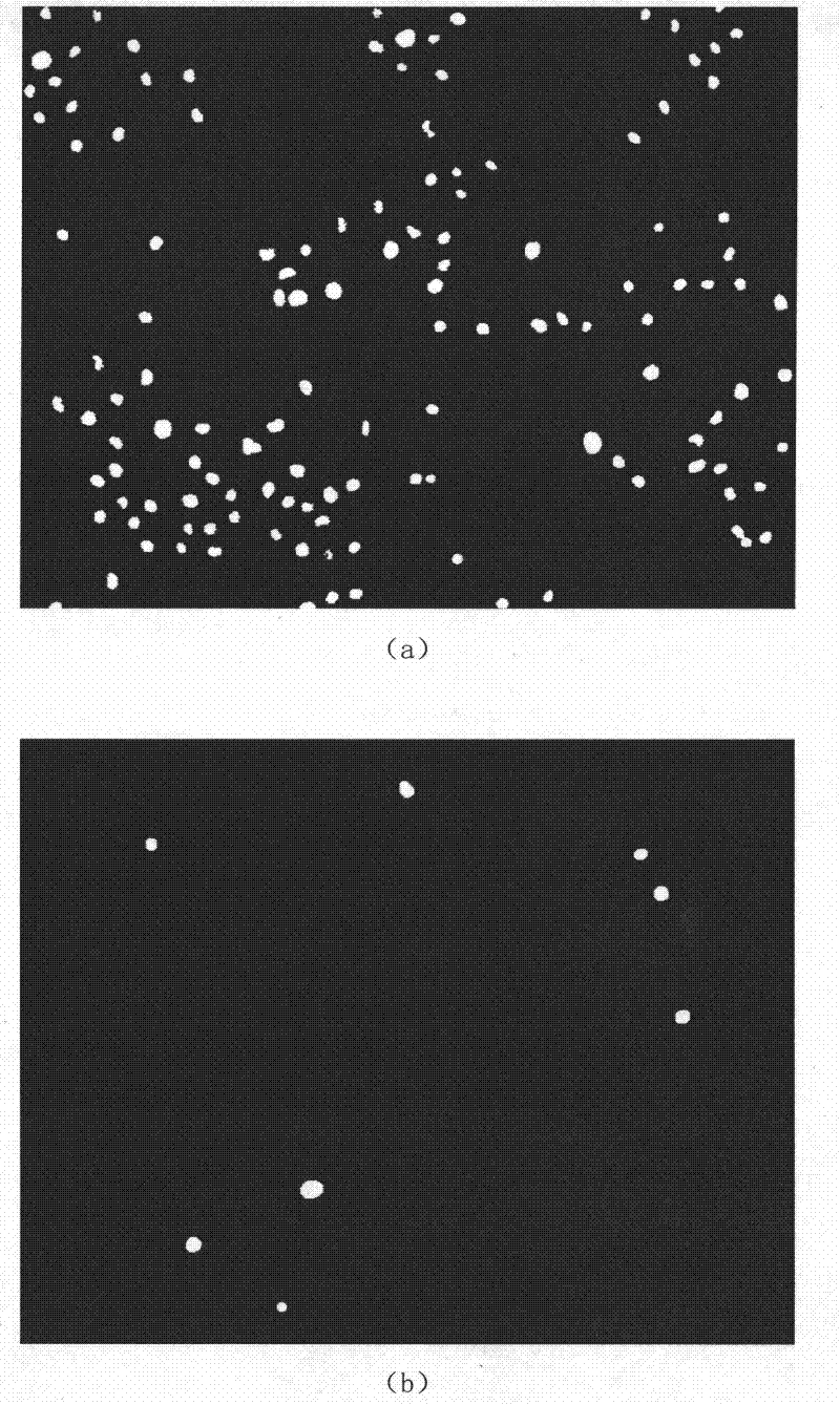 Feature associated cell tracking method based on centroid tracking frame