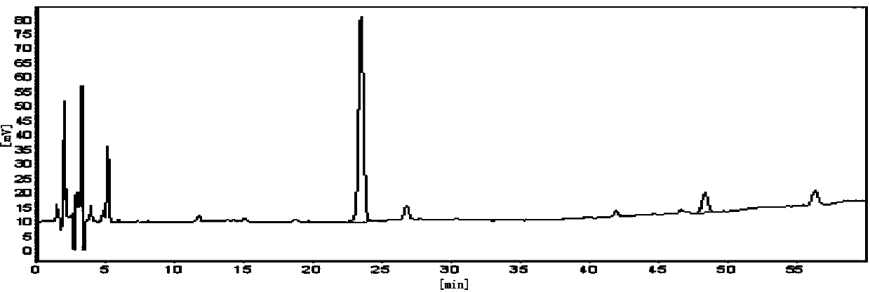 Andrographis paniculata extract and method for preparing same