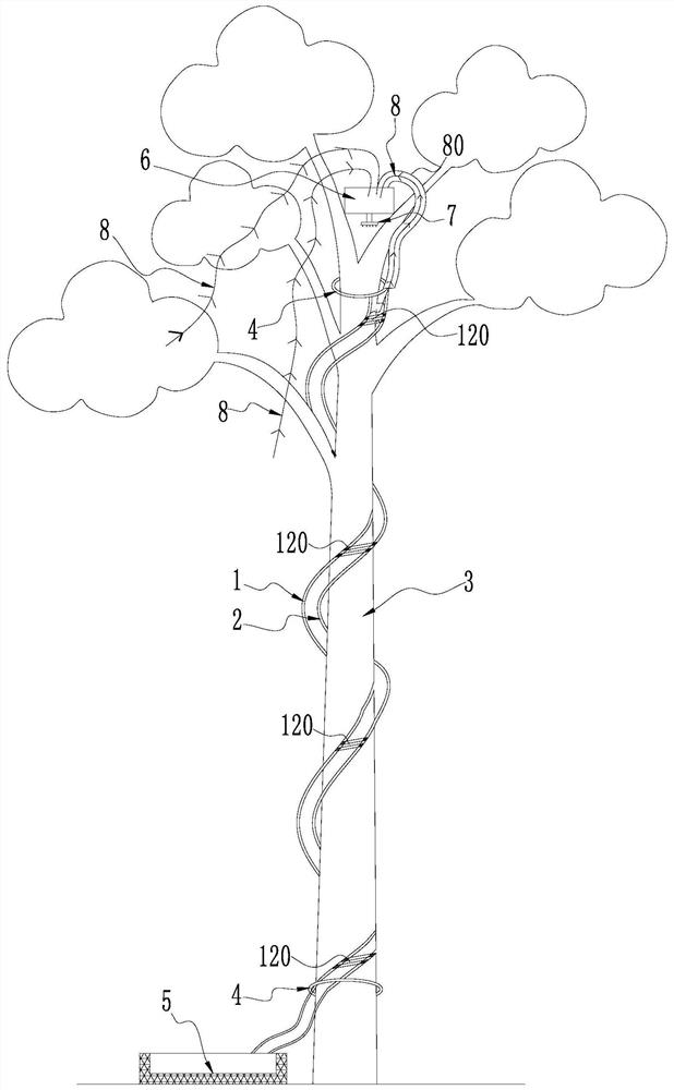 Microenvironment manual intervention auxiliary device and method for planting dendrobium in mountain forest