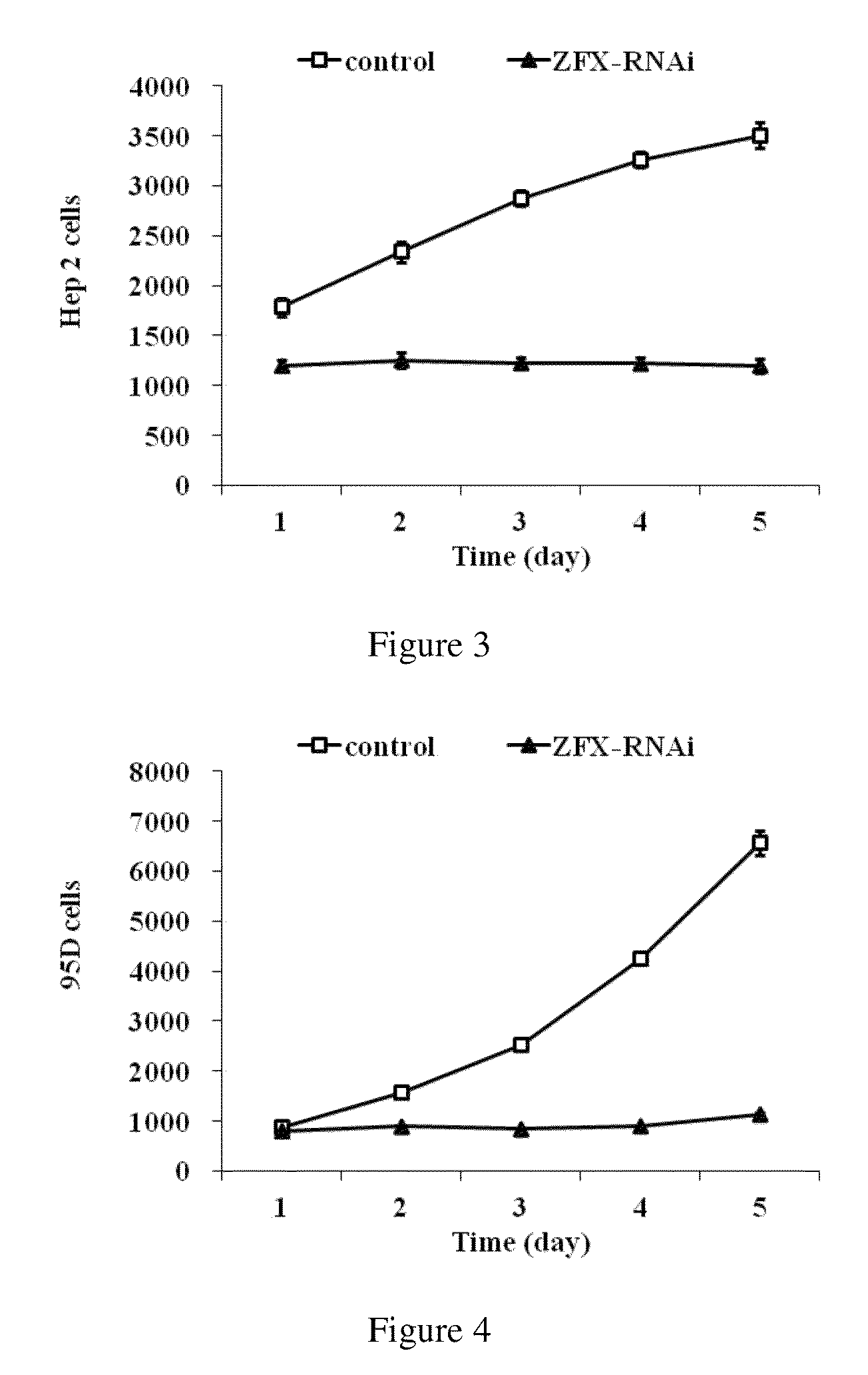 Uses of the human ZFX gene and drugs associated with same