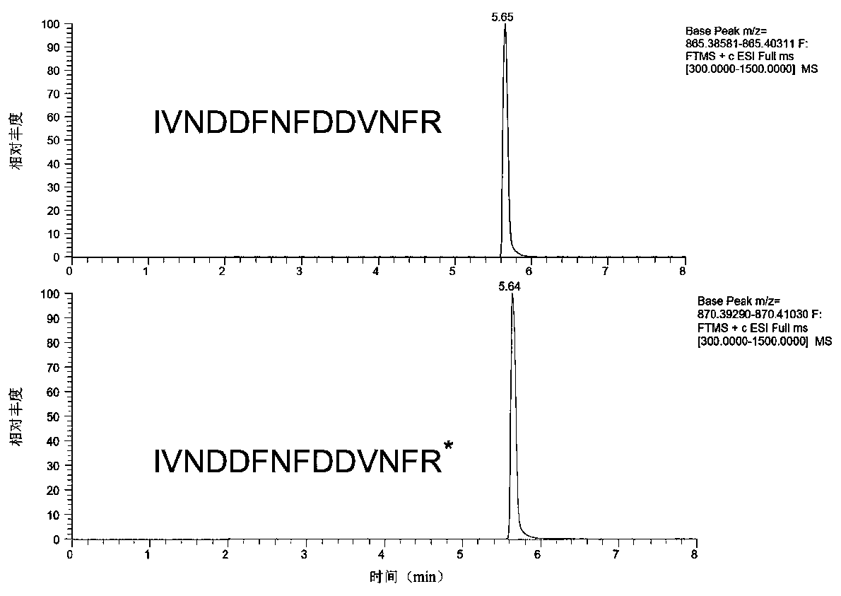 Method for quantifying Apis mellifera honey MRJP2 through liquid chromatography-tandem mass spectrometry